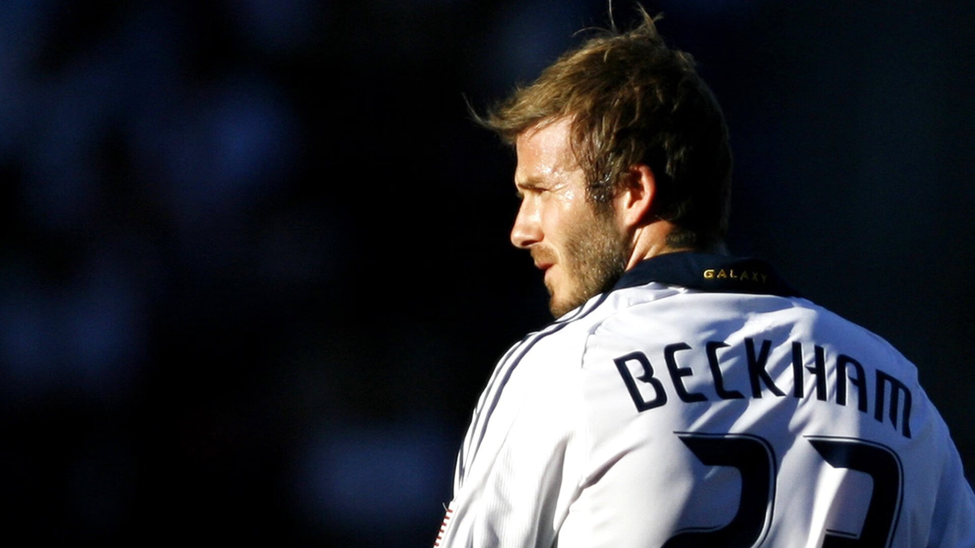 “绿色环保+智能场馆:未来运动场景向可持续发展迈进”,智能化场馆建设