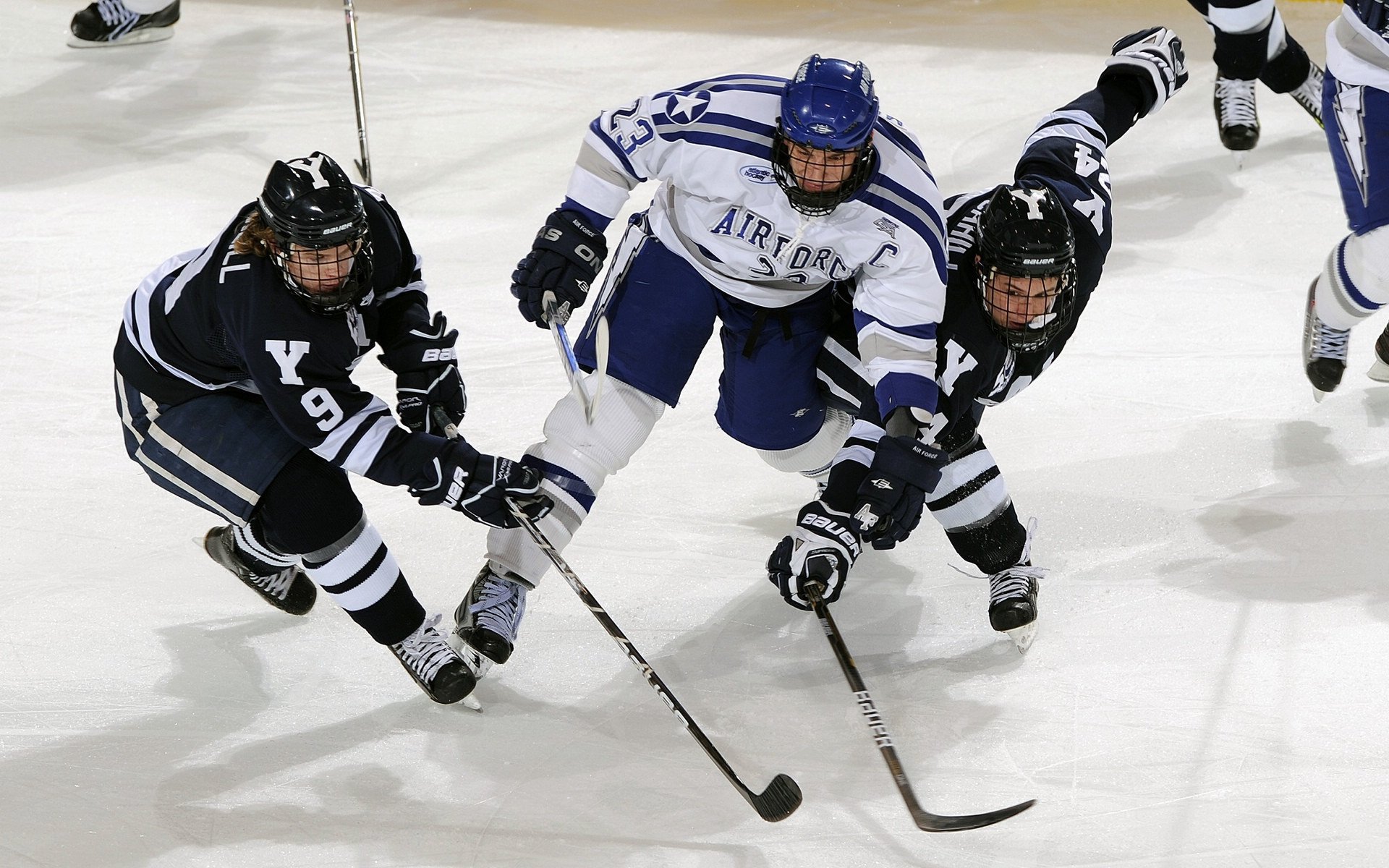 数字平台助推青少年篮球成长路径多元化，青少年篮球系统训练